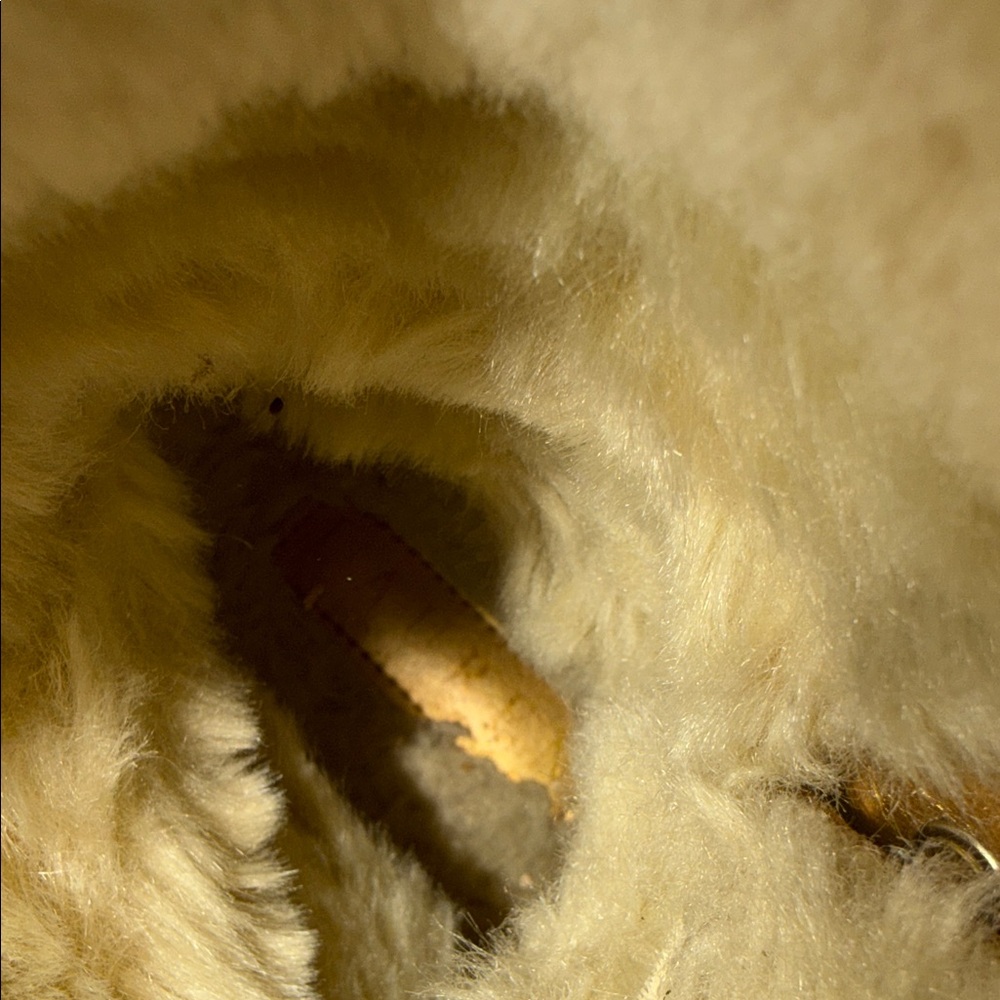Lauren Ralph Lauren Metallic Tan Lace-Up Shearling Boots - Picture 5 of 7